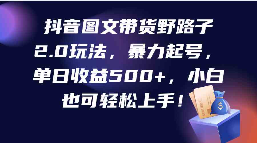 （9790期）抖音图文带货野路子2.0玩法，暴力起号，单日收益500+，小白也可轻松上手！-艾云网创