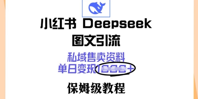 小红书Deepseek图文引流，私域售卖资料，单日变现多张，保姆级教程-艾云网创