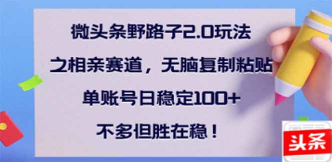 （14334期）微头条野路子2.0玩法之相亲赛道，无脑搬砖复制粘贴，单账号日稳定300+…-艾云网创