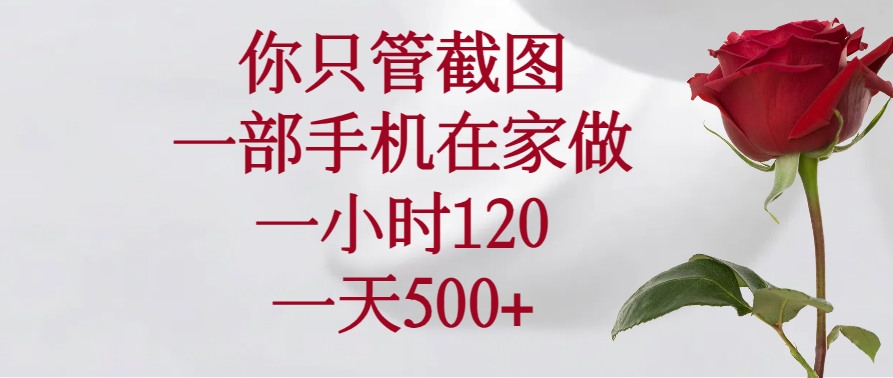 （14248期）你只管截图，一部手机在家做，一小时120，一天500+-艾云网创