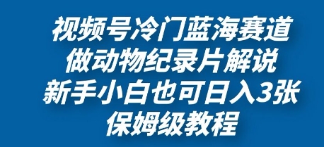 视频号冷门蓝海赛道，做动物纪录片解说，新手小白也日入3张，保姆级教程-艾云网创