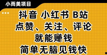 小而美的项目，抖音小红书B站视频点赞、关注、评论就能挣钱，简单无脑立见收益，妥妥的零撸项目【揭秘】-艾云网创
