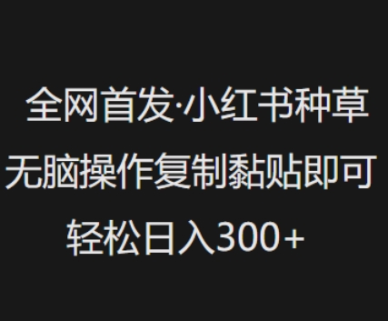 全网首发，小红书种草无脑操作，复制黏贴即可，轻松日入3张-艾云网创