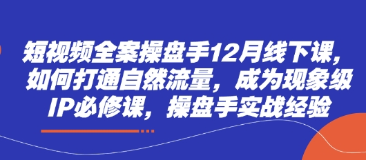 短视频全案操盘手12月线下课，如何打通自然流量，成为现象级IP必修课，操盘手实战经验-艾云网创