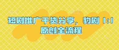 短剧推广干货分享，豹剧 1:1原创全流程-艾云网创