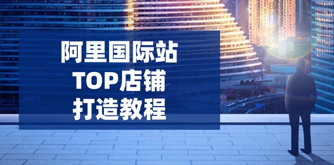 （14269期）阿里国际站TOP店铺打造教程：涵盖平台到高阶，解决运营难题，提升询盘-艾云网创