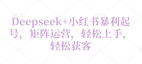 Deepseek+小红书暴利起号，矩阵运营，轻松上手，轻松获客-艾云网创