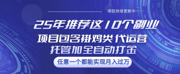 25年推荐这10个副业项目包含褂鸡类、代运营托管类、全自动打金类【揭秘】-艾云网创