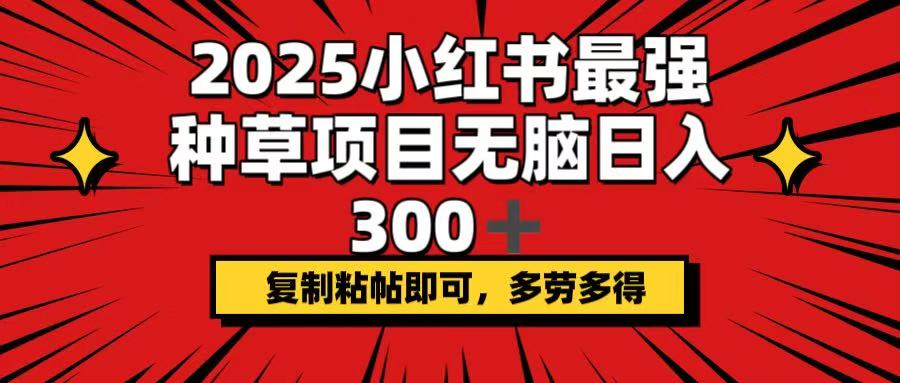 （14375期）2025小红书最强种草项目，无脑日入300+，复制粘帖即可，多劳多得-艾云网创