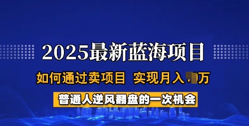 2025蓝海项目，普通人如何通过卖项目，实现月入过W，全过程【揭秘】-艾云网创
