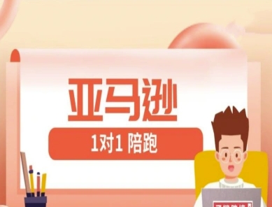 亚马逊1对1陪跑课(FBA/FBM精铺)跨境亚马逊教程-艾云网创