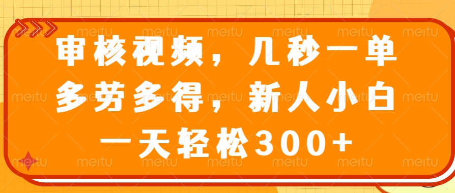 （14294期）审核视频，几秒一单，多劳多得，新人小白一天轻松300+-艾云网创