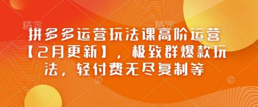 拼多多运营玩法课高阶运营【2月更新】，极致群爆款玩法，轻付费无尽复制等-艾云网创