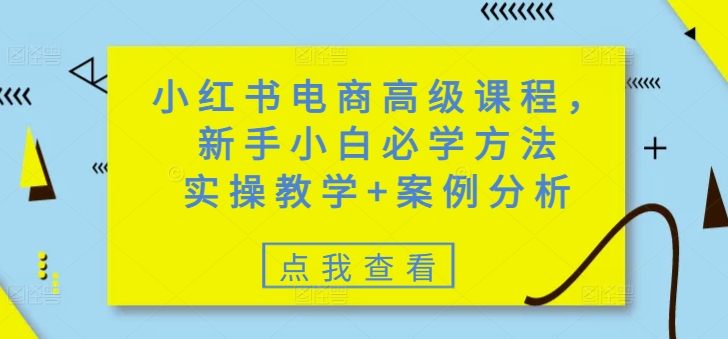 小红书电商高级课程，新手小白必学方法，实操教学+案例分析-艾云网创