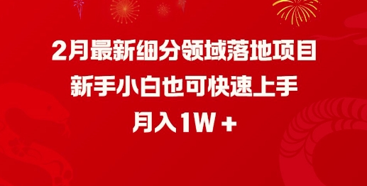 2月最新细分领域落地项目，新手小白也可快速上手，月入1W-艾云网创