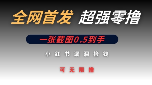 全网首发无限零撸捡钱项目，小红书一张截图0.5元可无限零撸-艾云网创