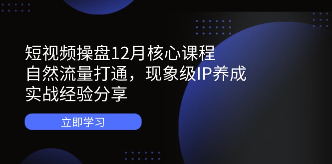 （14447期）短视频操盘12月核心课程：自然流量打通，现象级IP养成，实战经验分享-艾云网创