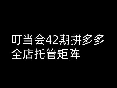 叮当会拼多多打爆班原创高阶技术第42期，拼多多全店托管矩阵-艾云网创